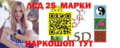 дмт Краснодар