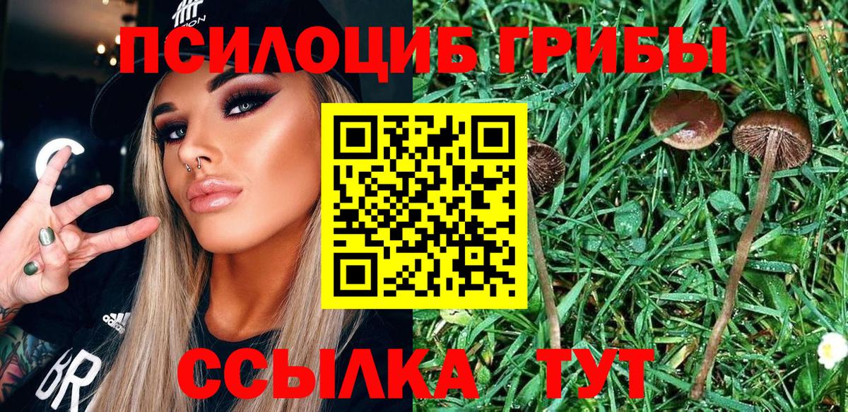 Галлюциногенные грибы Cubensis  Вход с VPN  Когалым  Галлюциногенные грибы GOLDEN TEACHER 